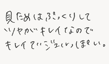 見ためはぷっくりしてツヤがキレイなのでキレイでジェルっぽい。